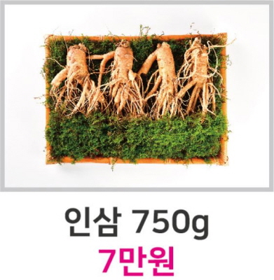 인삼 750g 7만원 이미지4