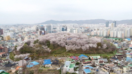 수도산(테미공원) 이미지