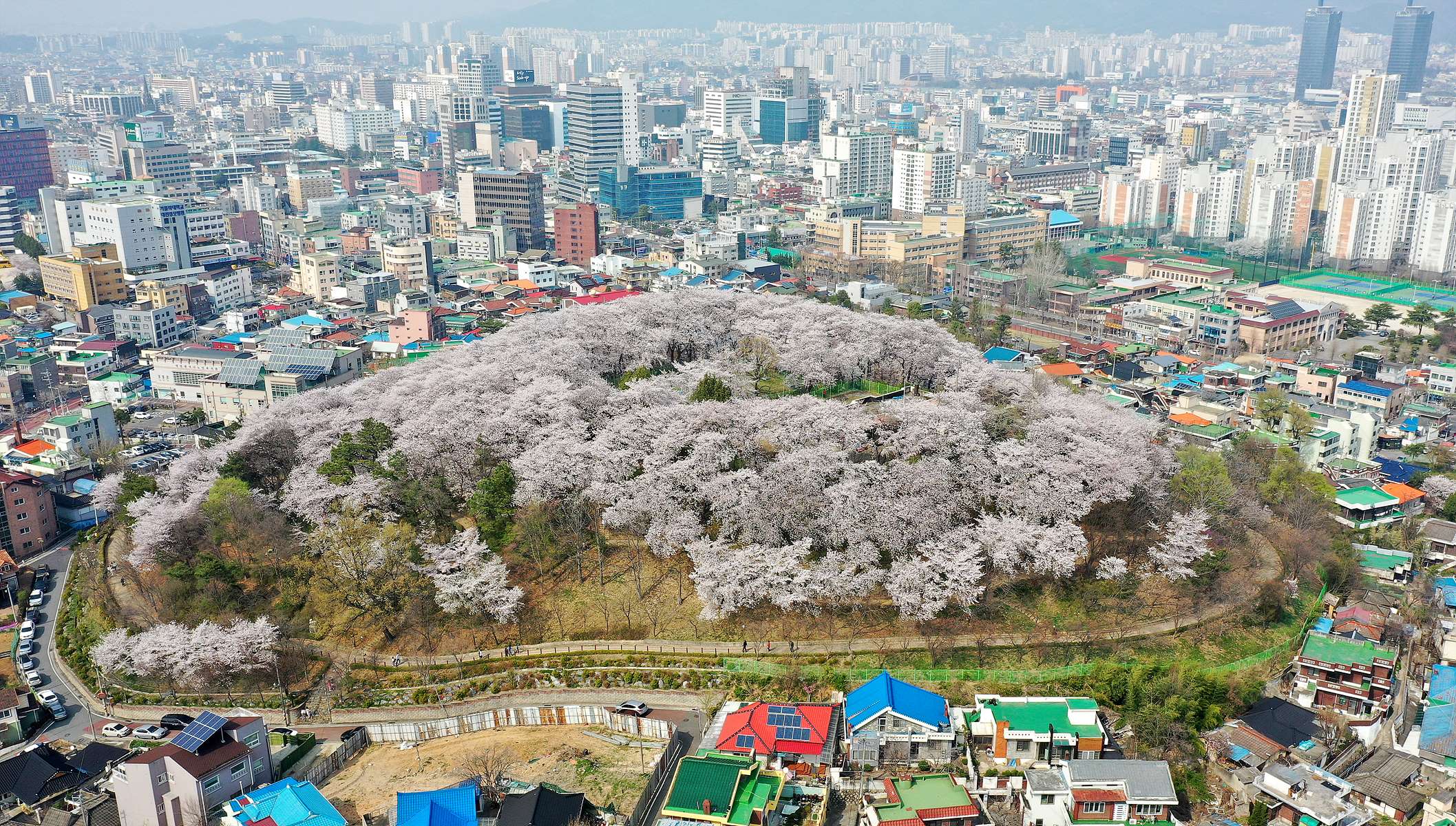 테미공원 사진1