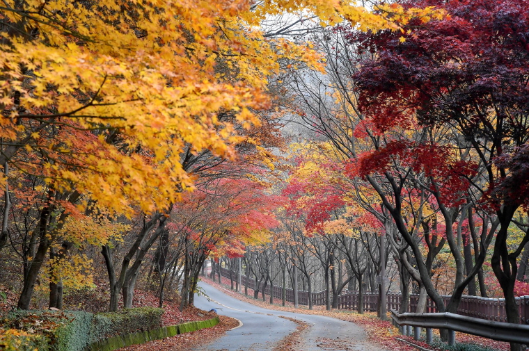 사정근린공원 사진5