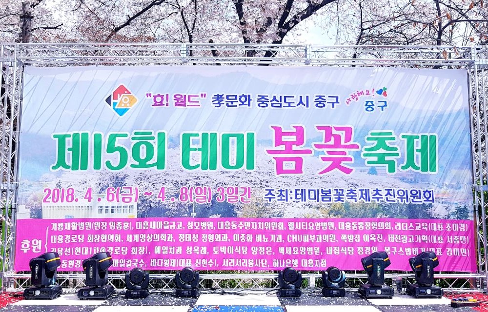 대흥동 축제 사진1 - 제15회 테미 봄꽃축제