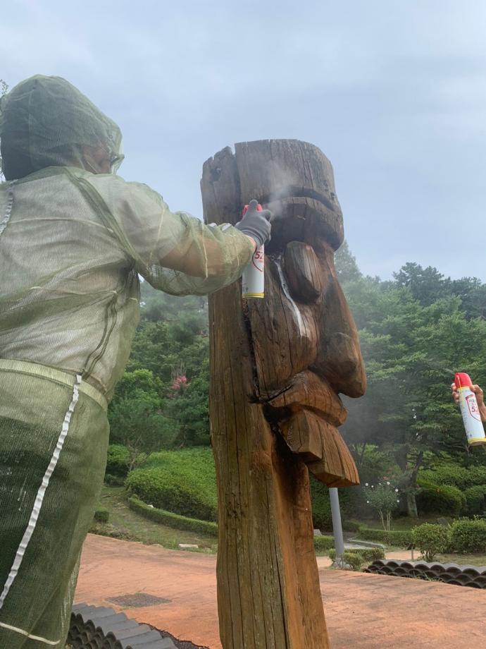 벌집 제거 이미지