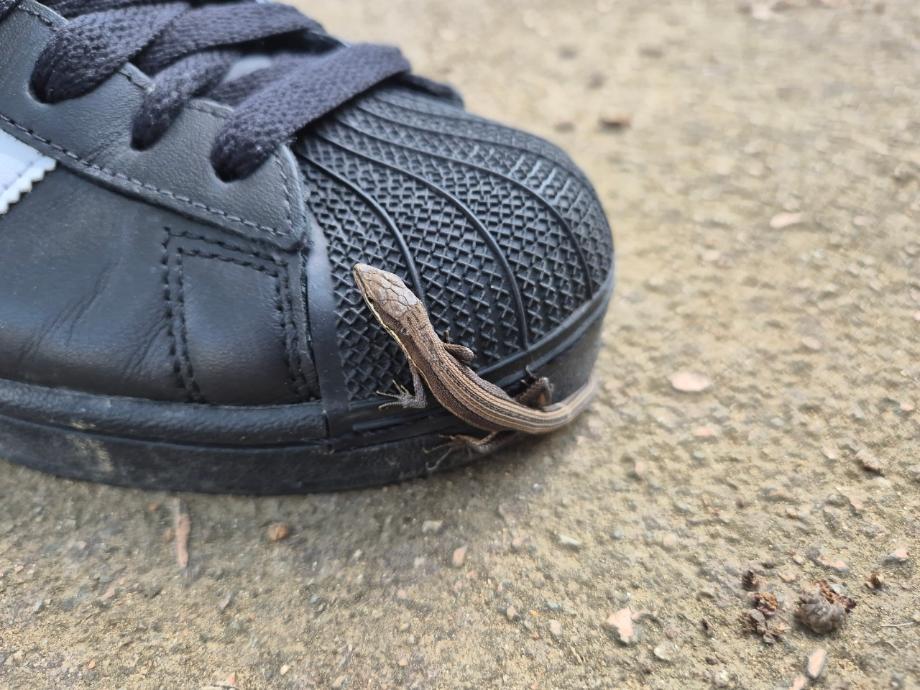 뿌리공원 생태 이미지