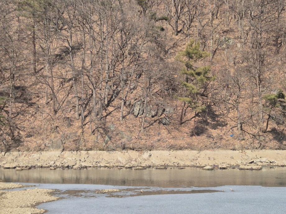 만성보 새 이미지