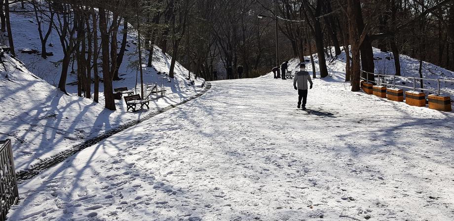 흰 눈밭 된 보문산 공원 청년광장 - 겨울철 결빙지역 급경사 구간, 차량 진입 금지 안내 - 이미지