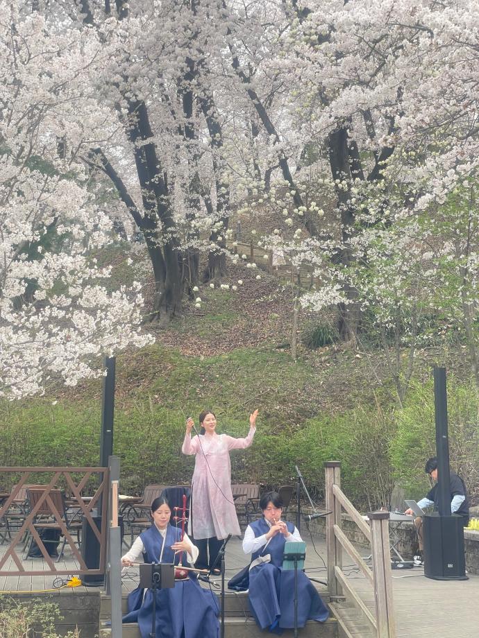 대흥동 테미공원 버스킹 공연 이미지