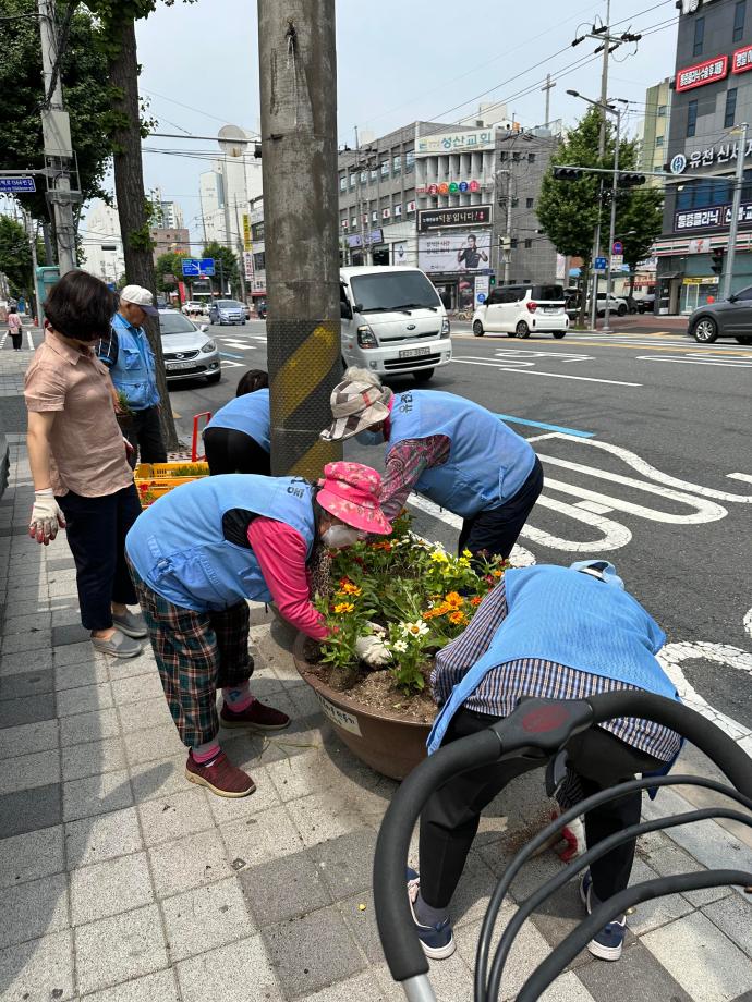 여름꽃 식재 이미지