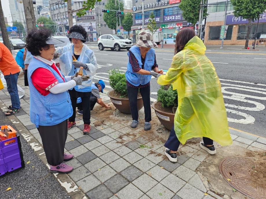 가을꽃 식재 이미지