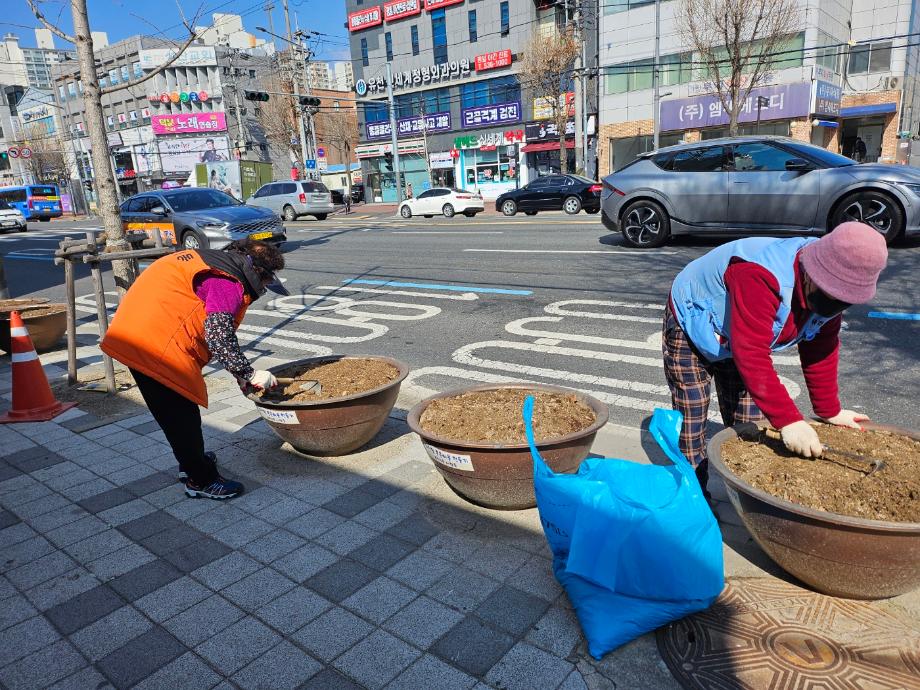 봄꽃 식재 이미지