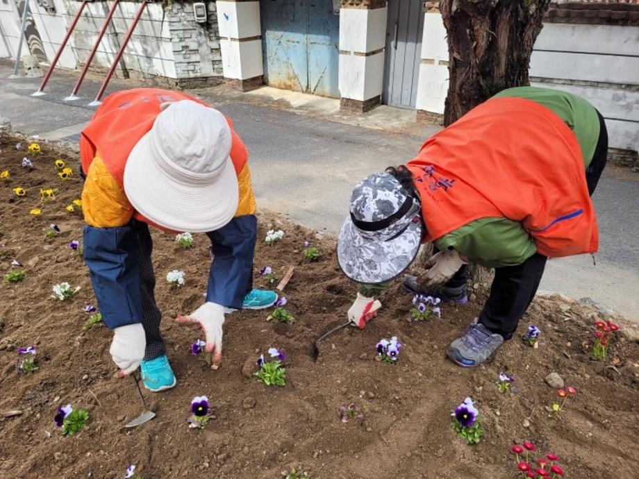 문화1동 봄꽃 식재 이미지