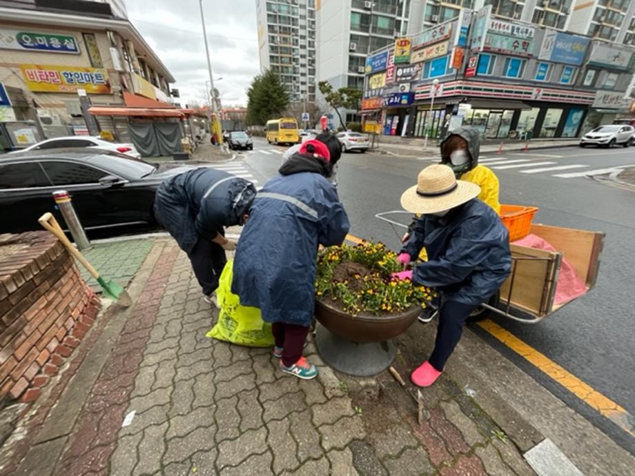 (문화2동)봄꽃 식재 이미지