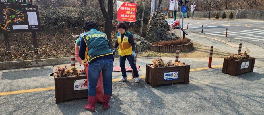 자원봉사협의회 봄꽃식재 이미지