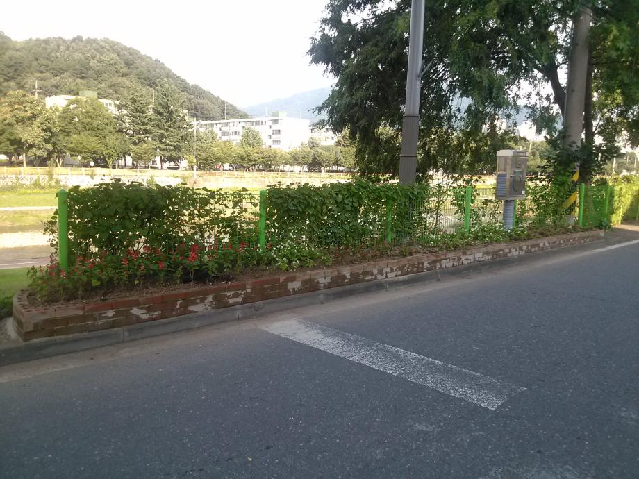 청결취약지대에 화분, 화단조성 이미지