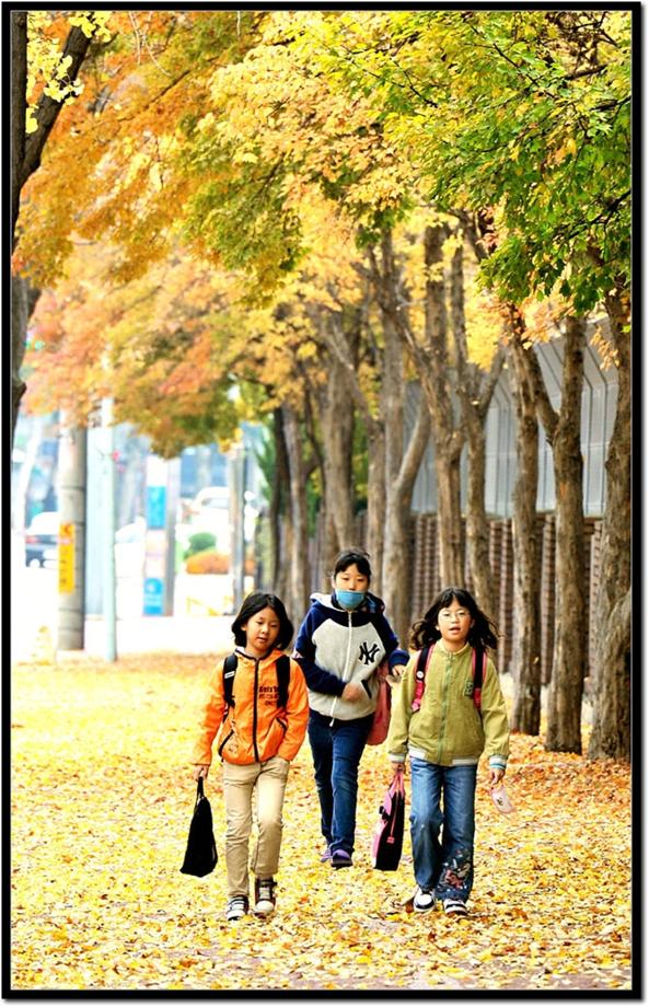 낙엽 밟으며, 도심속 가을 느껴요 이미지