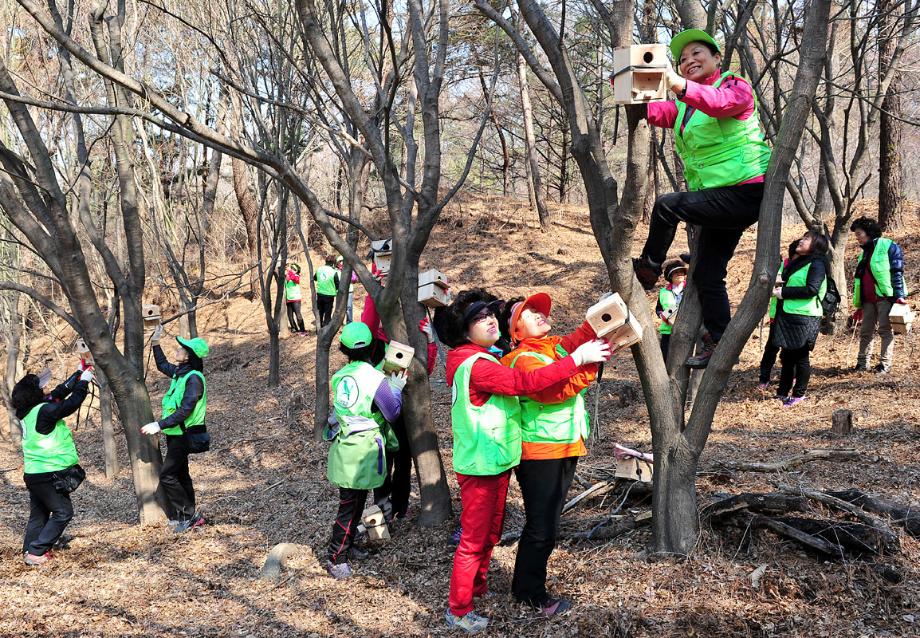 보문산 주변‘새집달기 행사’실시 이미지