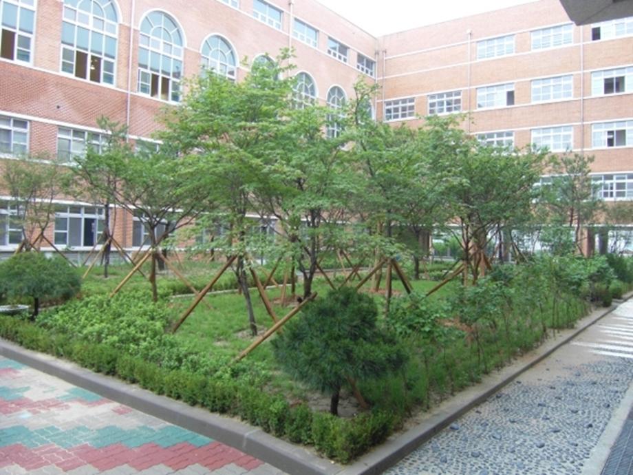 중구, 모델 학교숲 전국 우수사례 선정 이미지