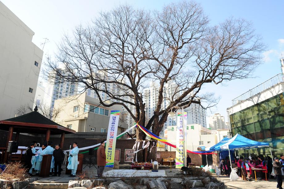 태평동 느티나무 목신제 이미지