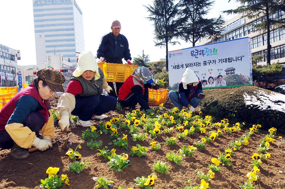 2015년 봄꽃 식재 이미지