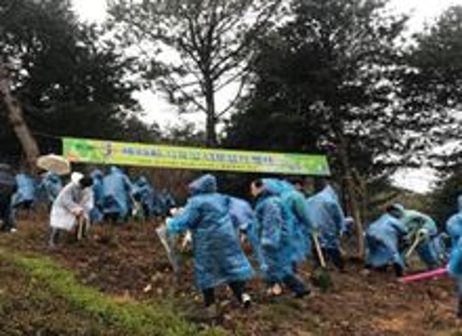 제73회 식목일기념 나무심기 행사 실시 이미지