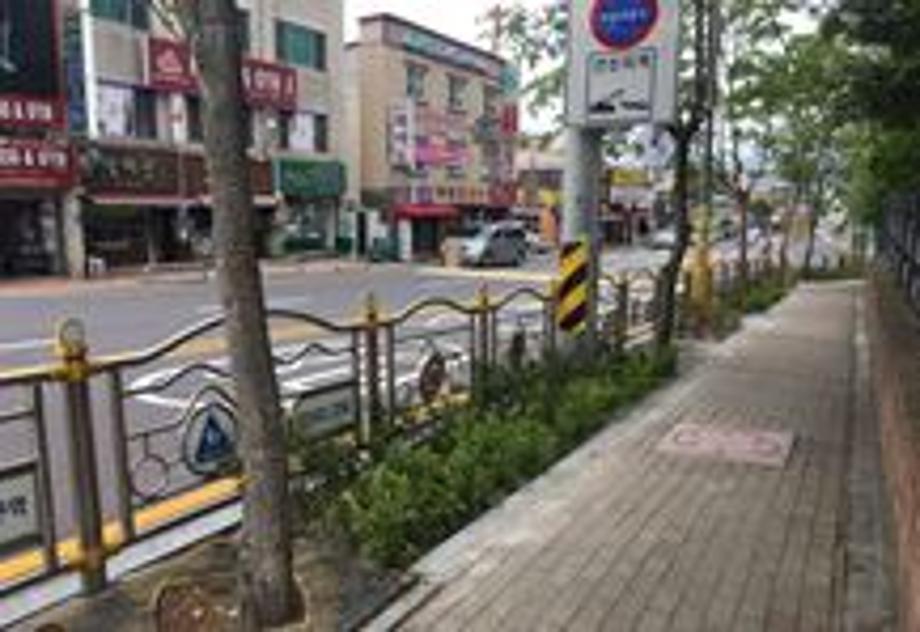 2018년 가로수 생육환경 개선사업 준공 이미지