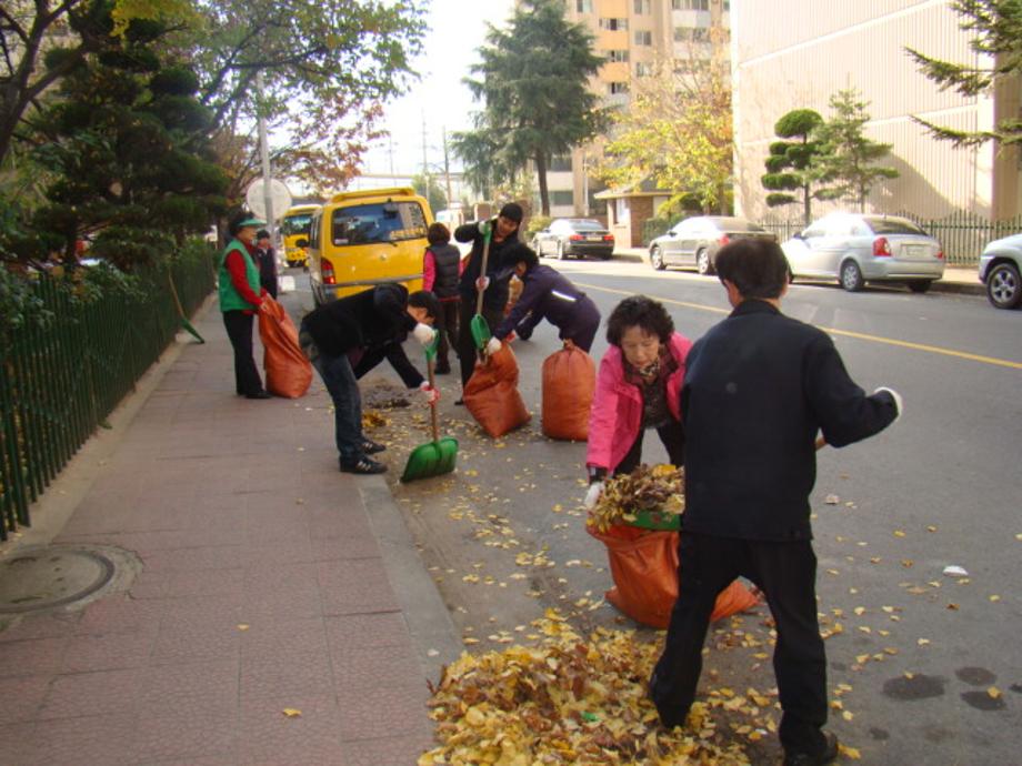 (2011.11.14) 가을철 낙엽쓰레기 대청소2 이미지