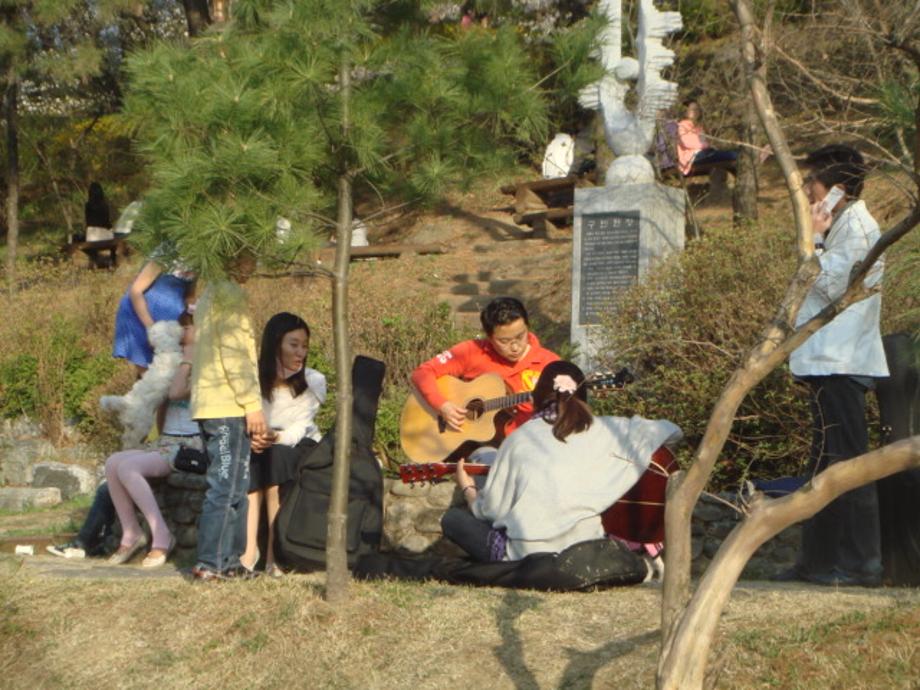 제12회 테미공원 봄꽃축제 성료 이미지