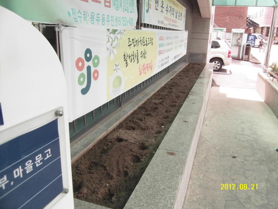주민센터 청사 앞 여름꽃 식재 이미지