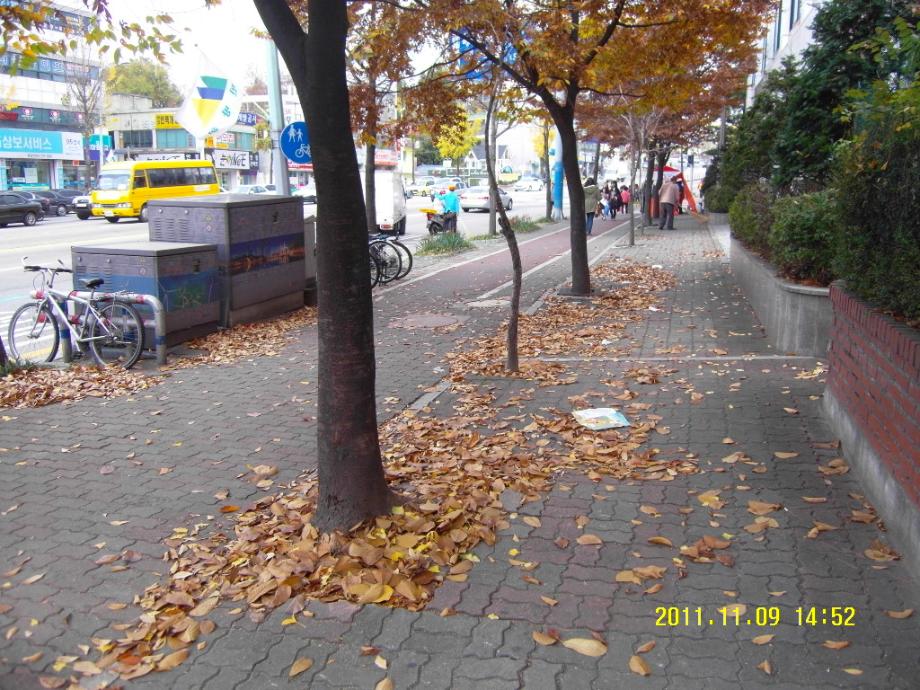 가을철 낙엽쓰레기 일제대청소 추진 이미지