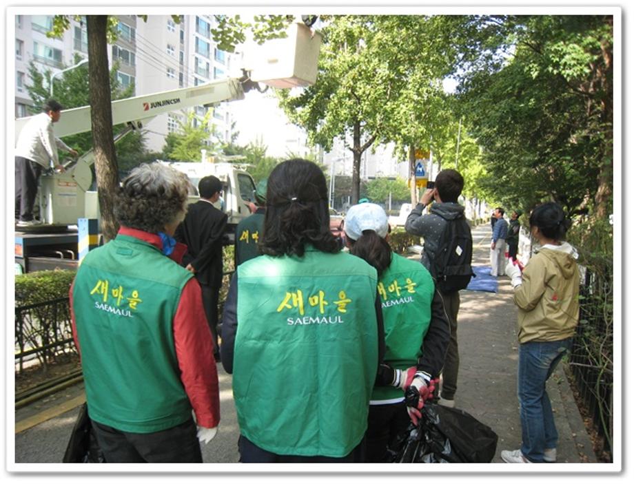 「가로수 은행나무 열매 수확(채취)」촬영 및 방송 이미지