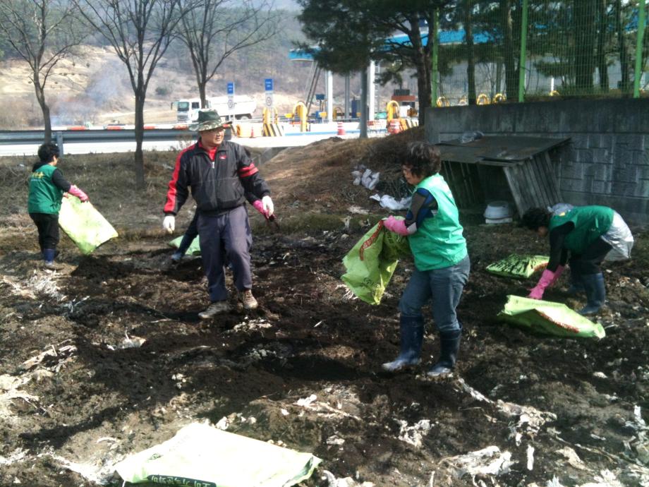 새마을부녀회 사랑의텃밭 나눔봉사 실천(감자심기) 이미지