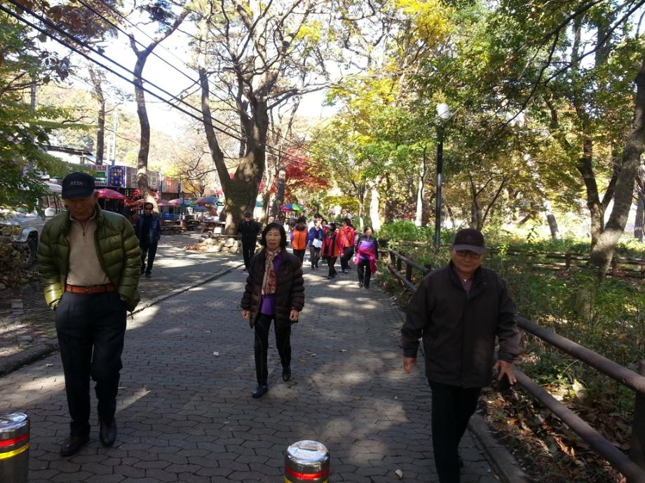 노인어르신 단풍나들이 행사 이미지