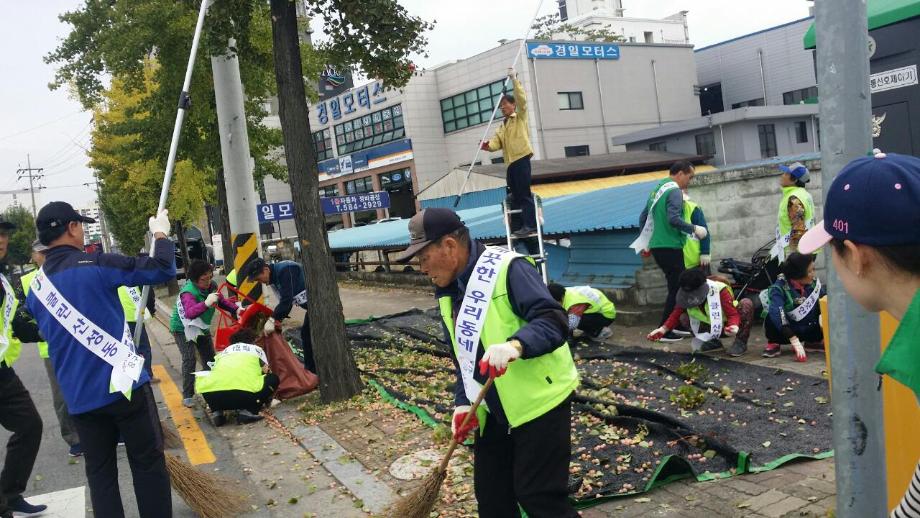 산성동 우리동네 클린사업 일제추진의 날(은행을 털어라!) 이미지