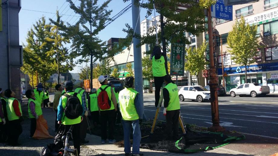 우리동네 클린사업(은행나무 열매제거) 이미지