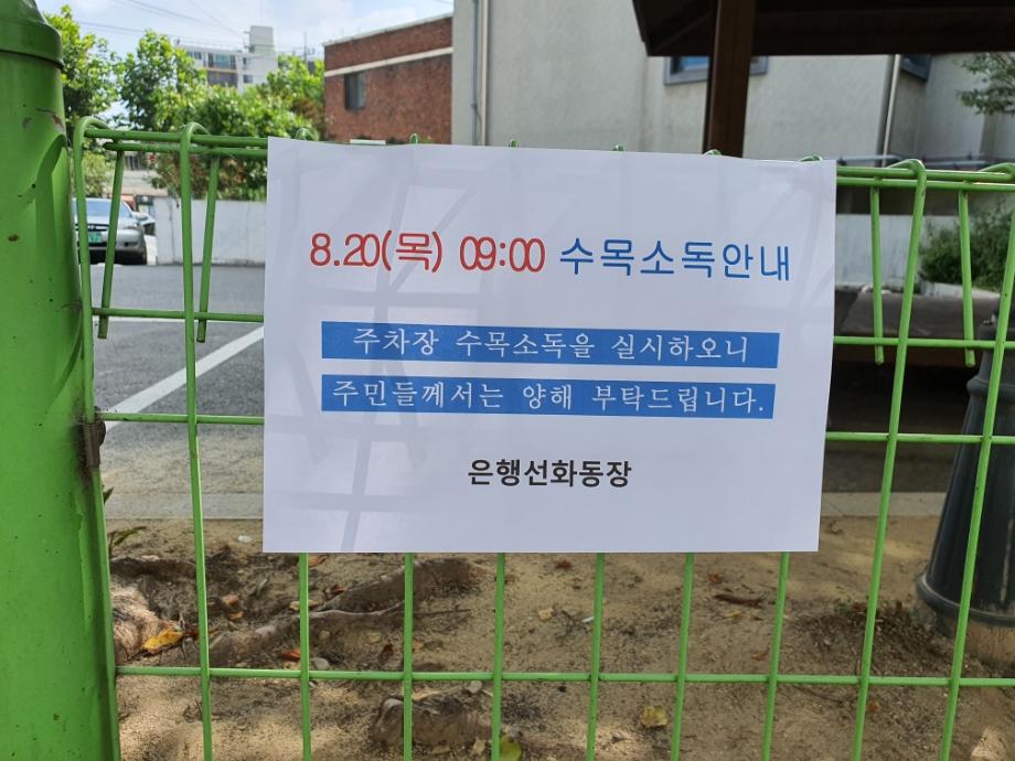 (은행선화동) 청사 수목방역 실시 이미지