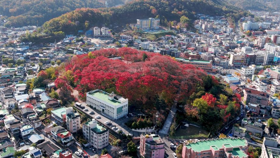 테미공원