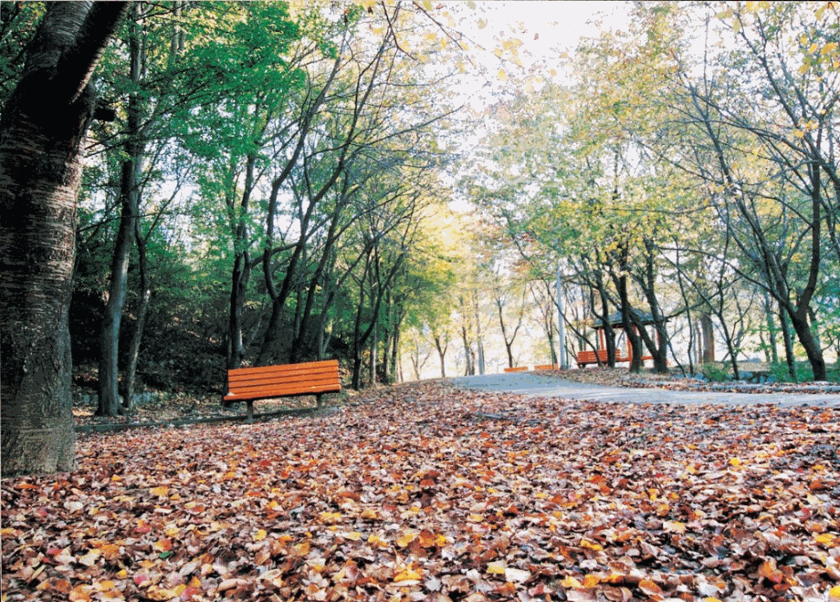 보문산에서 바라본 중구야경 이미지