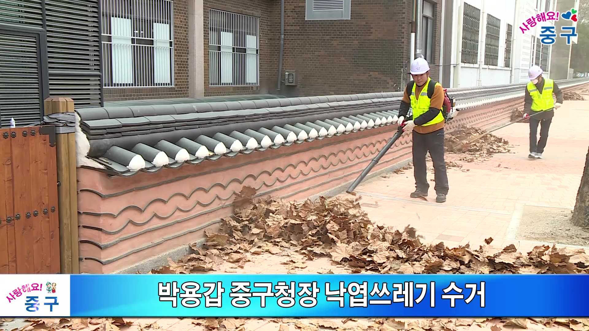 박용갑 중구청장 낙엽쓰레기 수거 이미지