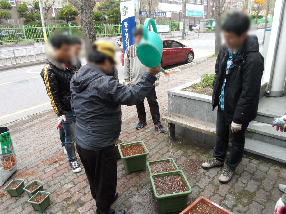 원예요법 이미지
