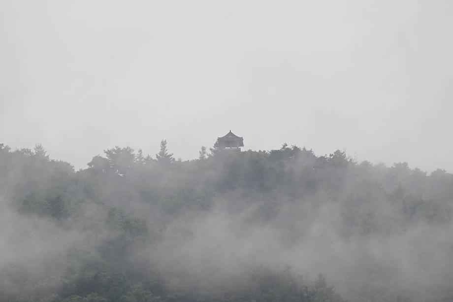 보문산(장대루 운해)