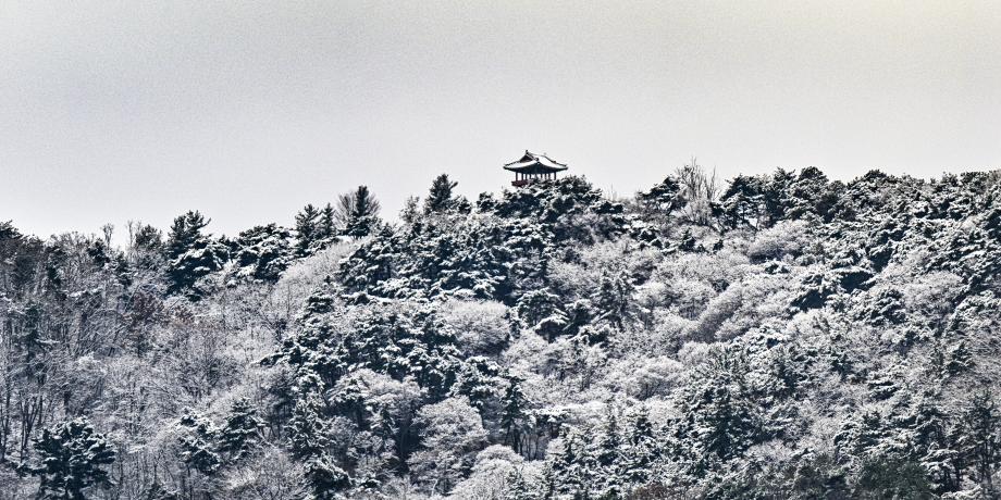 보문산 장대루 설경