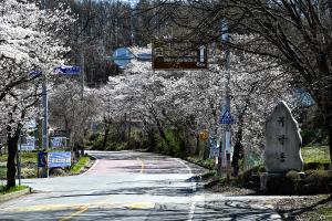 목달동 유래비 봄 풍경