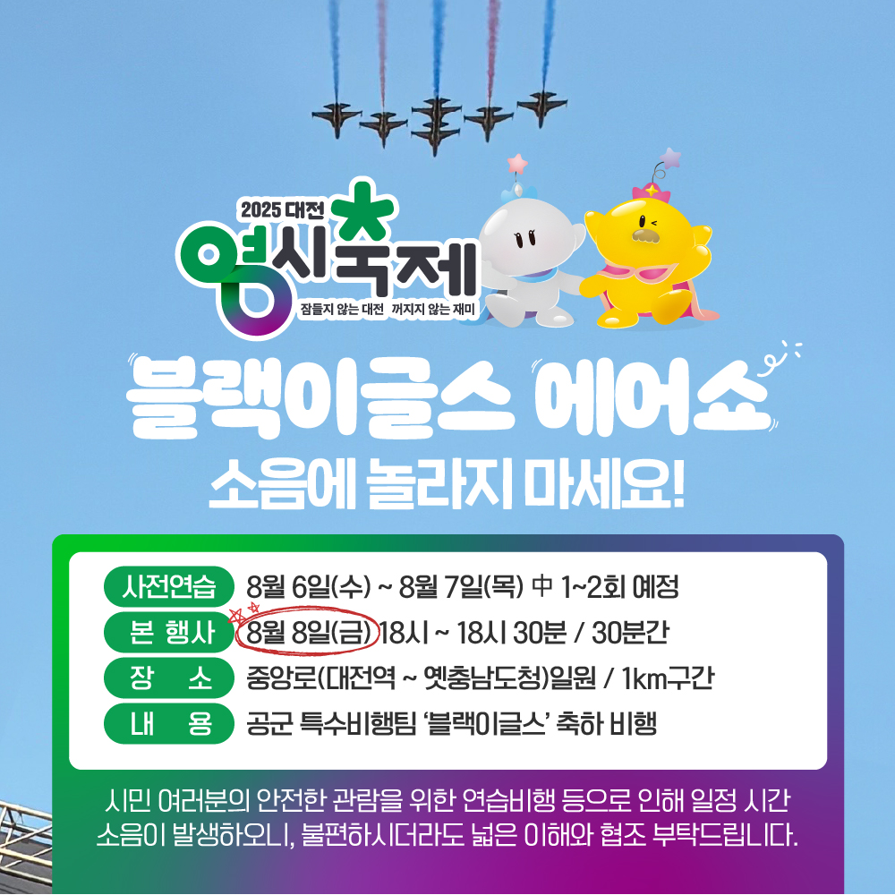 2025년 대전 0시 축제 블랙이글스 에어쇼